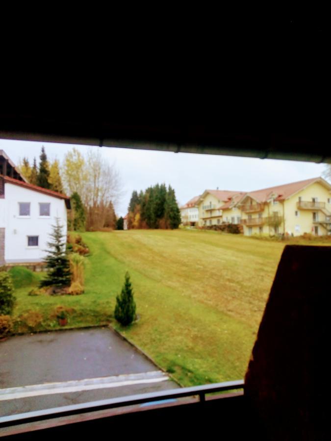 Pension Waldblick シュピーゲラウ エクステリア 写真